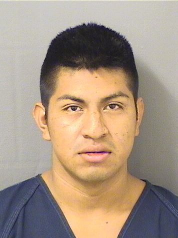 AMILCAR GODINEZDOMINGO Results from Palm Beach County Florida for AMILCAR GODINEZDOMINGO AMILCAR GODINEZDOMINGO Results from Palm Beach County Florida for AMILCAR GODINEZDOMINGO