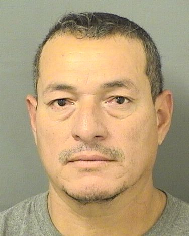  JOSE CALIXTO LOPEZ Results from Palm Beach County Florida for  JOSE CALIXTO LOPEZ