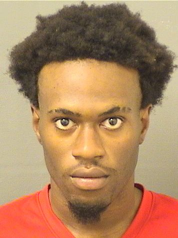  RICARDLEY SYLVAIN Results from Palm Beach County Florida for  RICARDLEY SYLVAIN