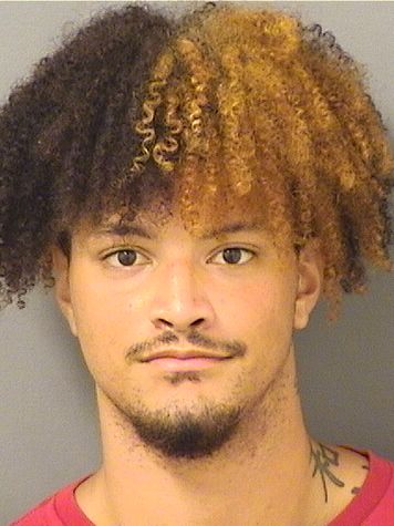  JUSTIN D RAMOS Results from Palm Beach County Florida for  JUSTIN D RAMOS