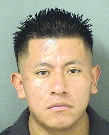  LUIS CASTRO Results from Palm Beach County Florida for  LUIS CASTRO