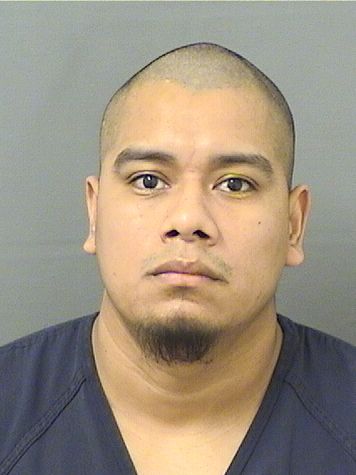  LUIS PEREZDIEGO Results from Palm Beach County Florida for  LUIS PEREZDIEGO