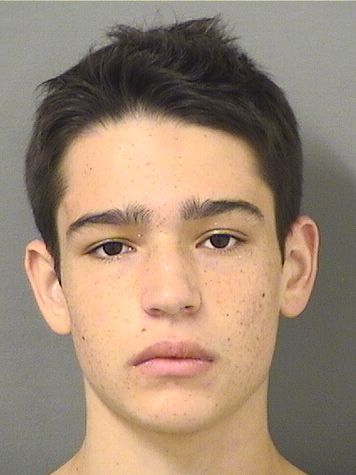  FINN CHRISTOPHER MUENCHEN Results from Palm Beach County Florida for  FINN CHRISTOPHER MUENCHEN