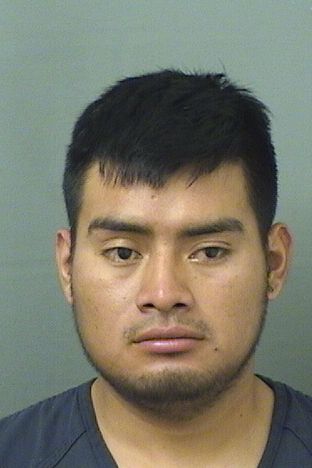  JULIO VELASQUEZSALES Results from Palm Beach County Florida for  JULIO VELASQUEZSALES