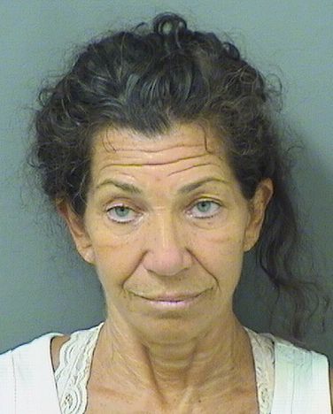  SUSAN PAMELA LEVY Results from Palm Beach County Florida for  SUSAN PAMELA LEVY