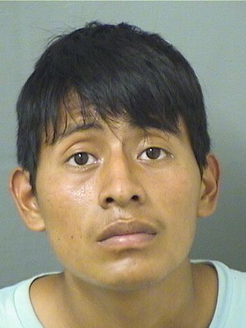 LUIS DAVID LOPEZ Photos For  LUIS DAVID LOPEZ  LUIS DAVID LOPEZ Photo For  LUIS DAVID LOPEZ