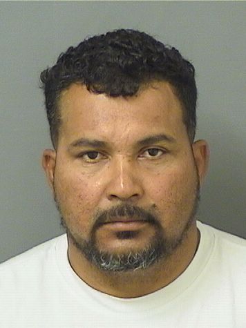  JESUS ORLANDO MATUTECACERES Resultados de la busqueda para Palm Beach County Florida para  JESUS ORLANDO MATUTECACERES