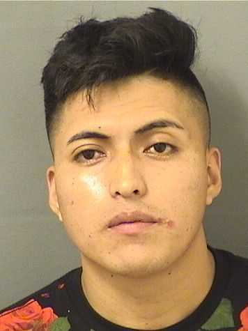  YONY PAULINO MORALESMATUL Results from Palm Beach County Florida for  YONY PAULINO MORALESMATUL