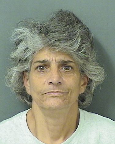  SANDRA ANGELA DIAFERIA Results from Palm Beach County Florida for  SANDRA ANGELA DIAFERIA