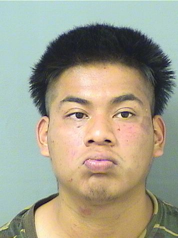 JOHNNY O RAMIREZDELEON Results from Palm Beach County Florida for  JOHNNY O RAMIREZDELEON  JOHNNY O RAMIREZDELEON Results from Palm Beach County Florida for  JOHNNY O RAMIREZDELEON