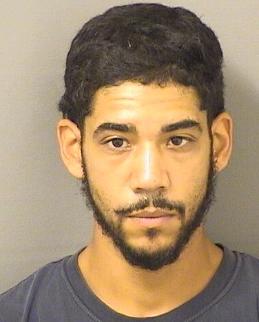  EDDER BRYANT RAPOSO Results from Palm Beach County Florida for  EDDER BRYANT RAPOSO