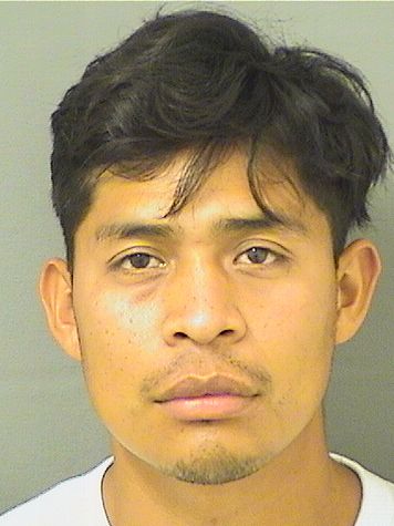  CESARANDRES PALACIOS PERALTA Results from Palm Beach County Florida for  CESARANDRES PALACIOS PERALTA