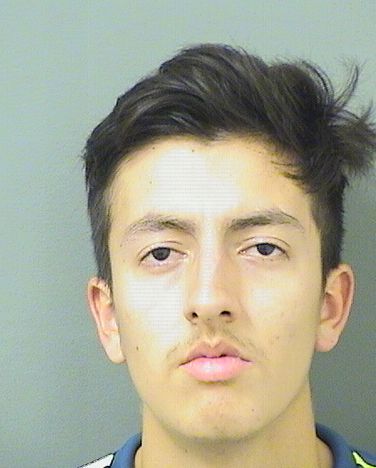  DAVID CAMILO BAEZTORRES Resultados de la busqueda para Palm Beach County Florida para  DAVID CAMILO BAEZTORRES