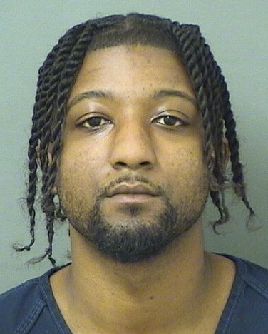  DAVIAN CHRISTOPHER GEORGE Results from Palm Beach County Florida for  DAVIAN CHRISTOPHER GEORGE