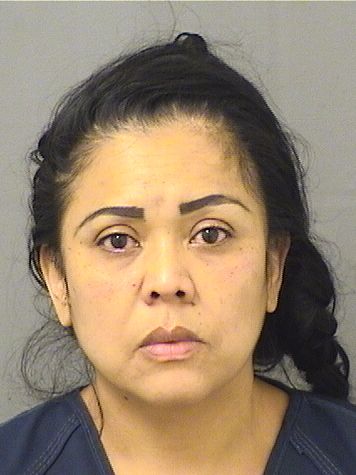  VERONICA G PORTILLO Results from Palm Beach County Florida for  VERONICA G PORTILLO