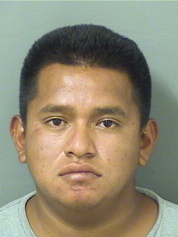  DIEGO R COCHECHOJPEN Results from Palm Beach County Florida for  DIEGO R COCHECHOJPEN