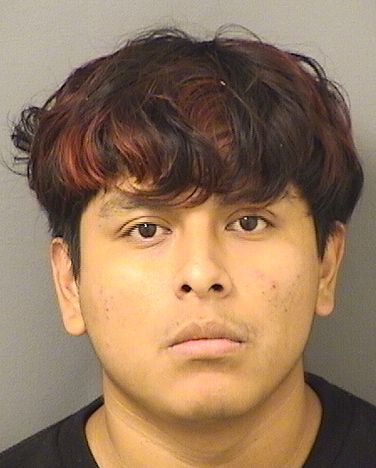  DYLAN ADRIAN BAUTISTA Results from Palm Beach County Florida for  DYLAN ADRIAN BAUTISTA