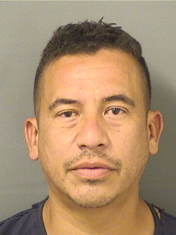  JAVIER ALBERTO OROZCOPALMA Resultados de la busqueda para Palm Beach County Florida para  JAVIER ALBERTO OROZCOPALMA
