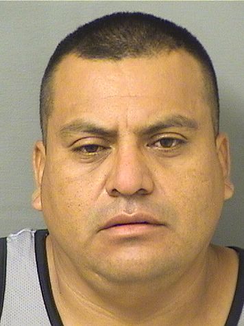 MAINOR MIGUEL GASPARMAURICIO Results from Palm Beach County Florida for MAINOR MIGUEL GASPARMAURICIO MAINOR MIGUEL GASPARMAURICIO Results from Palm Beach County Florida for MAINOR MIGUEL GASPARMAURICIO