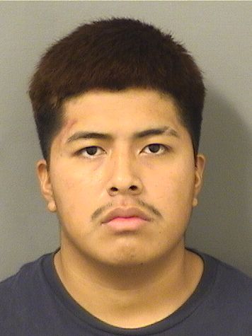  RONALDO ABERTO PAXTORVASQUEZ Results from Palm Beach County Florida for  RONALDO ABERTO PAXTORVASQUEZ