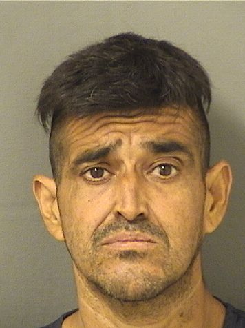  JODANI FAZ Resultados de la busqueda para Palm Beach County Florida para  JODANI FAZ