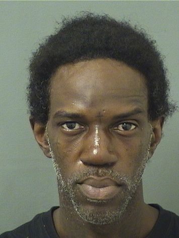  BRENDON GEROME SMITH Results from Palm Beach County Florida for  BRENDON GEROME SMITH