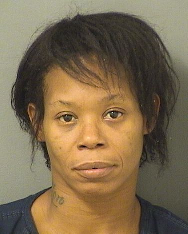  CARLA PHILLIPS Resultados de la busqueda para Palm Beach County Florida para  CARLA PHILLIPS