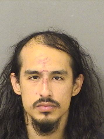  STEVEN DINETTA Resultados de la busqueda para Palm Beach County Florida para  STEVEN DINETTA