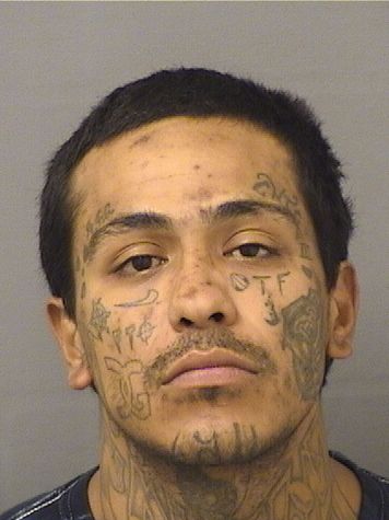  JESSIE LUCIANO CAVAZOS Results from Palm Beach County Florida for  JESSIE LUCIANO CAVAZOS