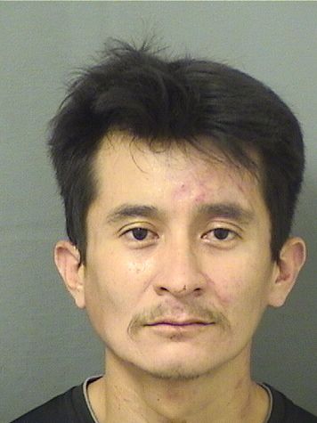  ARTURO ANIBAL GARCIARAMOS Results from Palm Beach County Florida for  ARTURO ANIBAL GARCIARAMOS