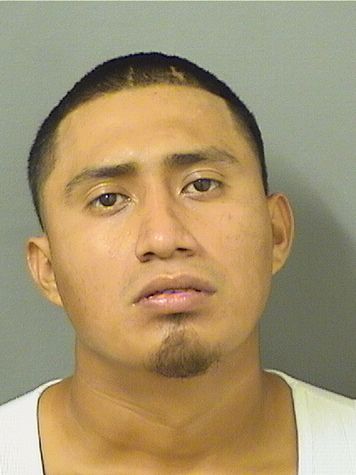  JOSUE GUMERCINDO PEREZORTIZ Results from Palm Beach County Florida for  JOSUE GUMERCINDO PEREZORTIZ