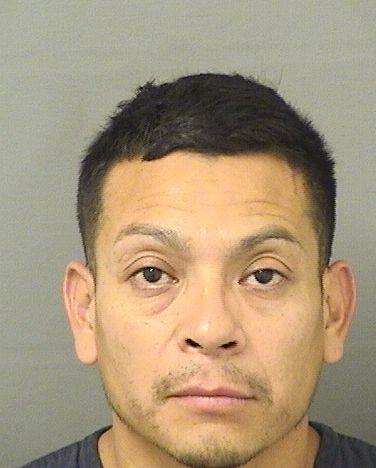  LAUREANO MUNOZRAMIREZ Results from Palm Beach County Florida for  LAUREANO MUNOZRAMIREZ