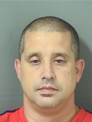  RYAN M LUCIANO Resultados de la busqueda para Palm Beach County Florida para  RYAN M LUCIANO