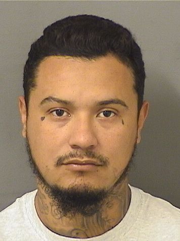  ALEX A SALINASVERDE Results from Palm Beach County Florida for  ALEX A SALINASVERDE