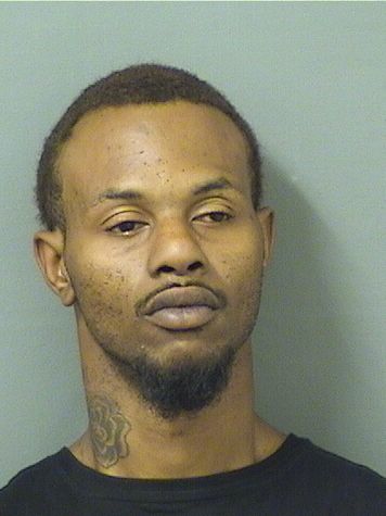  DAVID LEE II KNOWLES Results from Palm Beach County Florida for  DAVID LEE II KNOWLES