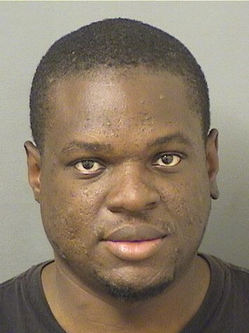  MICHAEL MICHAEL PAUL Resultados de la busqueda para Palm Beach County Florida para  MICHAEL MICHAEL PAUL