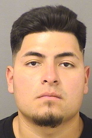  DANLI HERNANDEZ Results from Palm Beach County Florida for  DANLI HERNANDEZ