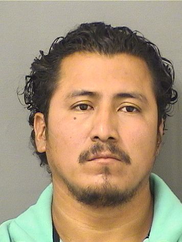  ROBERTO CARL ORTIZMAZARIEGOS Results from Palm Beach County Florida for  ROBERTO CARL ORTIZMAZARIEGOS