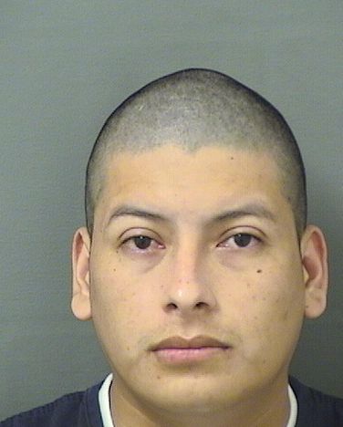  VICTOR MAURICIO VASQUEZ Results from Palm Beach County Florida for  VICTOR MAURICIO VASQUEZ
