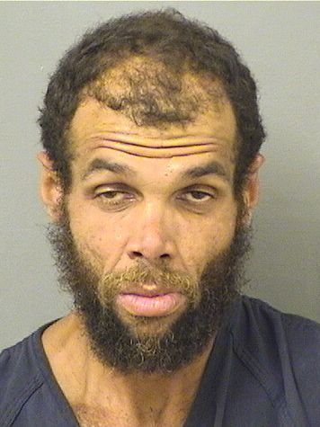  STEVEN MICHAEL STCLAIR Results from Palm Beach County Florida for  STEVEN MICHAEL STCLAIR