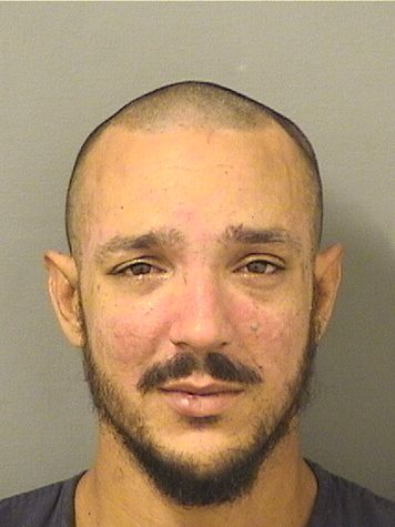  MICHAEL BARRIENTOS Results from Palm Beach County Florida for  MICHAEL BARRIENTOS