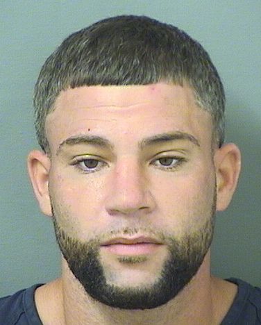  RYAN WILLIAM BRUNO Results from Palm Beach County Florida for  RYAN WILLIAM BRUNO