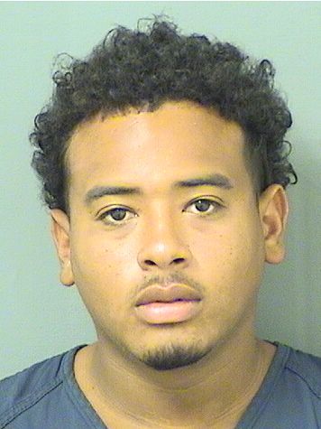  JAMES L III JOHNSON Results from Palm Beach County Florida for  JAMES L III JOHNSON