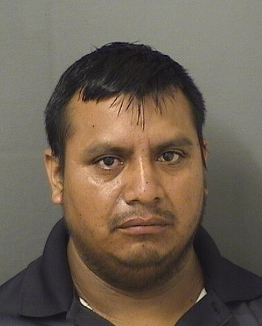  MANUEL PASCUALPASCUAL Results from Palm Beach County Florida for  MANUEL PASCUALPASCUAL