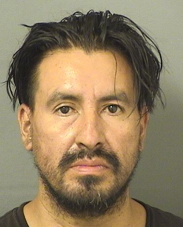  FRANCISCO MANUEL MARTINEZSOSA Results from Palm Beach County Florida for  FRANCISCO MANUEL MARTINEZSOSA