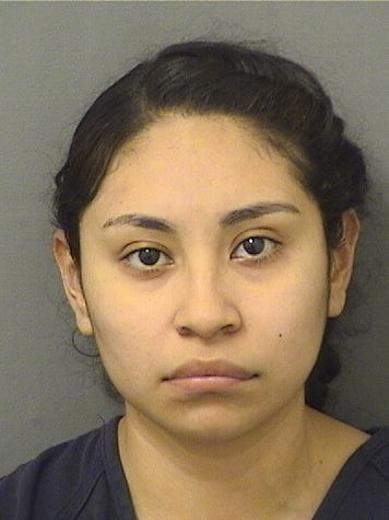  GRACIELA SANCHEZ Results from Palm Beach County Florida for  GRACIELA SANCHEZ