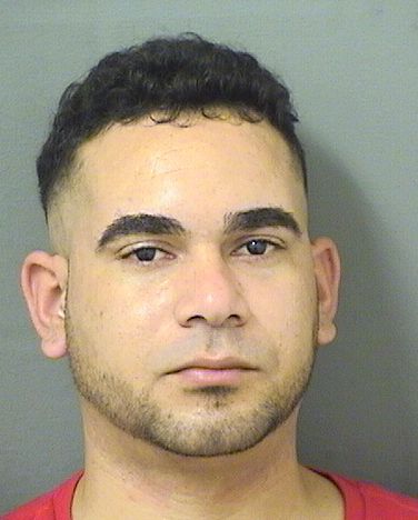  REYNIER HERNANDEZHERNANDEZ Results from Palm Beach County Florida for  REYNIER HERNANDEZHERNANDEZ