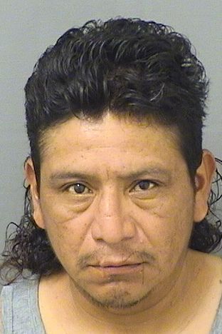LUIS LOPEZMORALEZ Results from Palm Beach County Florida for LUIS LOPEZMORALEZ LUIS LOPEZMORALEZ Results from Palm Beach County Florida for LUIS LOPEZMORALEZ