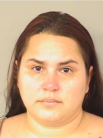  ANILEYDI AROCHA Results from Palm Beach County Florida for  ANILEYDI AROCHA