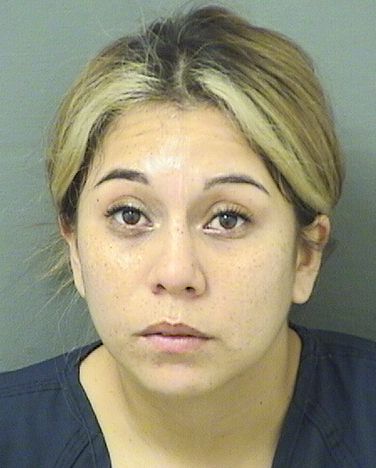  ANGELICA FERNANDEZ Results from Palm Beach County Florida for  ANGELICA FERNANDEZ